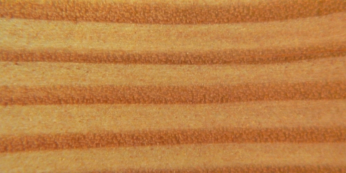 fir